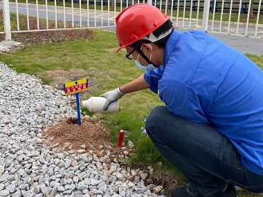 海珠红火蚁防治所消灭红火蚁危害的方法